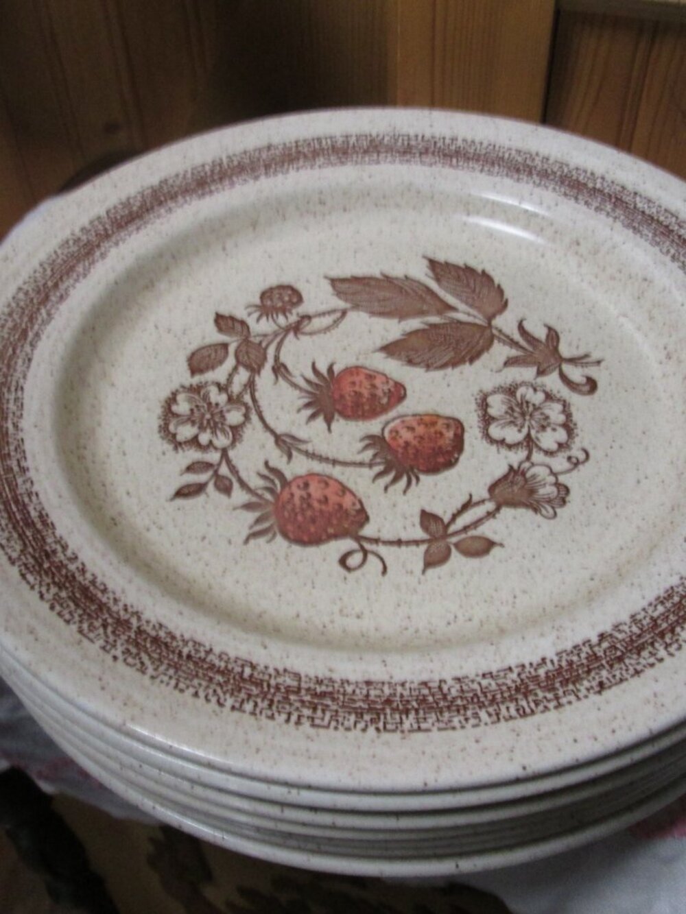 vtg  7 1970s wild strawberry Homespun Stoneware churchill england plates 10 in
